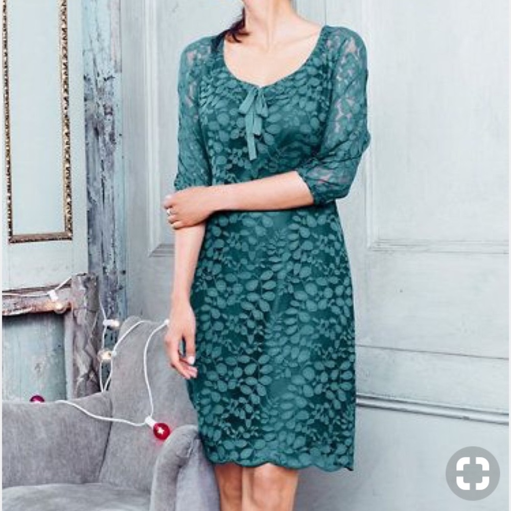 Garnet Hill Boheme Lace Dress New